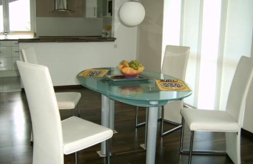 Auerbach Apartment | Ferienwohnung Schlossblick