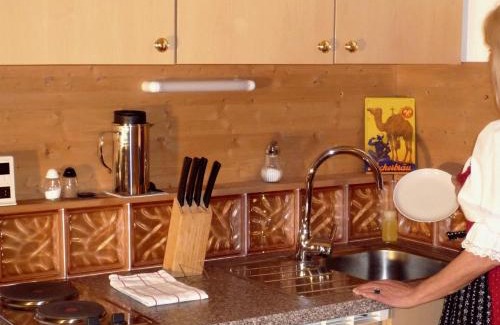 Aschau im Chiemgau Apartment | Ferienwohnung Spitzsteinblick