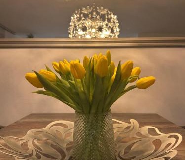 Roschbach Apartment | FERIENWOHNUNG TRUNK direkt an den Weinbergen, Parkplatz, Terrasse mit Grill und Lounge