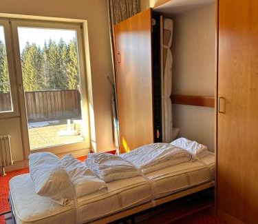 Hinterzarten Apartment | Ferienwohnung Wilma Hinterzarten