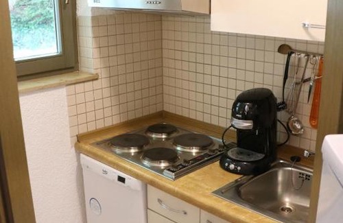 Todtnauberg Apartment | Fewo 3 - Residenz Schauinsland, Todtnauberg, beiFeldberg