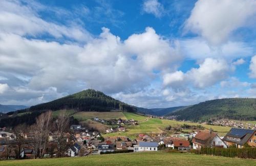 Baiersbronn Apartment | FeWo mit Pool in Baiersbronn
