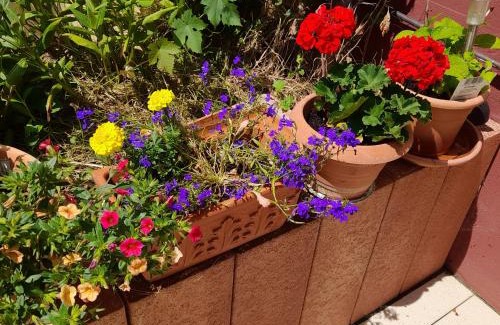 Boverath Apartment | FeWo Sonnenblume mit sauna
