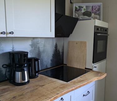 Bockswiese Apartment | FeWo Waldseeblick Hahnenklee