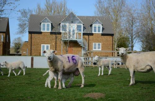 Oakham House | Field View