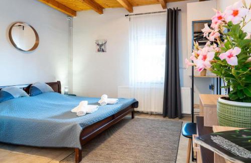 Balatonszarszo Apartment | Fiesta Balaton Villa