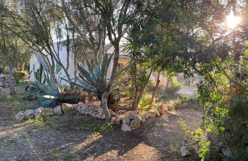 Ses Salines House | Finca Casa Farah