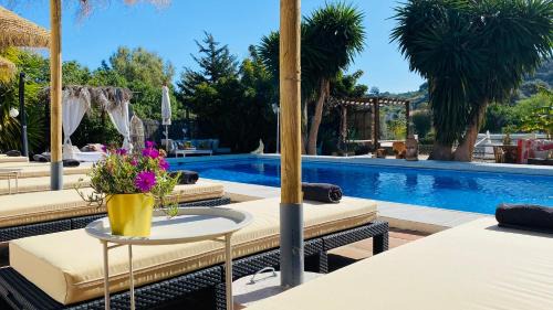 Coin Bed & Breakfast | Finca del Gecko