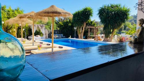 Coin Bed & Breakfast | Finca del Gecko