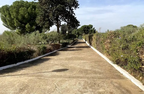 Carmona House | Finca el Paradisus