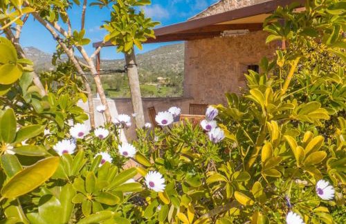 Sant Llorenc des Cardassar House | Finca Hotel Ses Cases Noves