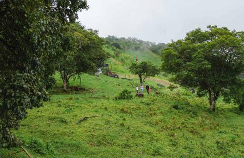 Monteverde Hotel | Finca Murillo