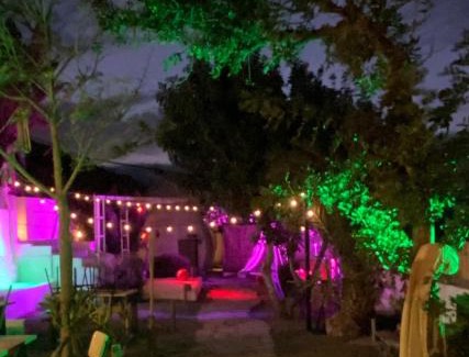 Agaete Apartment | Finca Oaxaca - Casa Tortuga