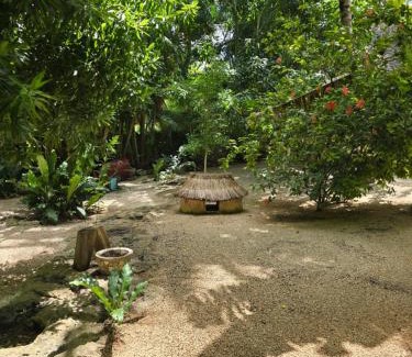 Homun House | Finca Oz