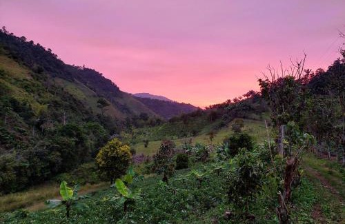 Tulipe House | Finca Sacha Muyu