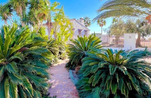 Canor Apartment | Finca Sol - Adults only