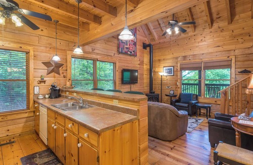 Black Mountain Cabin | Firefly Lodge | Private Log Cabin with Gas Grill & Mountain Views!