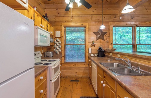 Black Mountain Cabin | Firefly Lodge | Private Log Cabin with Gas Grill & Mountain Views!