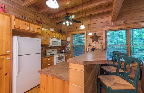 Black Mountain Cabin | Firefly Lodge | Private Log Cabin with Gas Grill & Mountain Views!