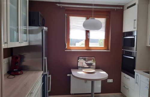 Kenzingen Apartment | Fireplace view about 15-20 minutes from Europa-Park