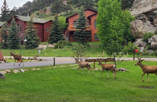 Estes Park Cabin | Fish Directly from Cabin