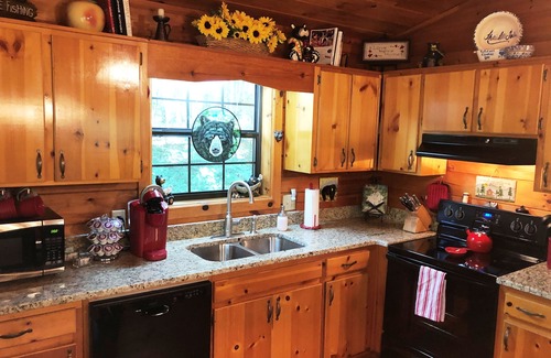 Blue Ridge Cabin | Fishing Bear Cabin- 135/per nite IF 2 people only: SEE Description/rates