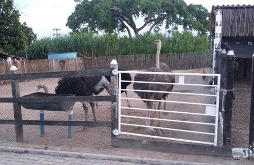 Boa Vista Apartment | Flat 104 Villa Hípica