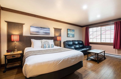 Ocean Shores Hotel | Flip Flop - Queen Studio Room at Wanderlust Inn, Pet Friendly