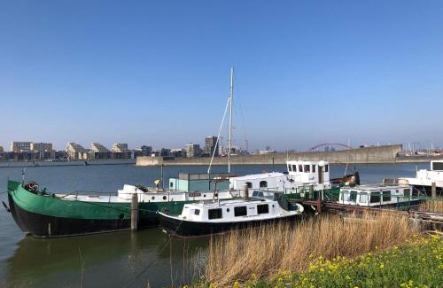 Amsterdam North Bed & Breakfast | Floating B&B Amsterdam