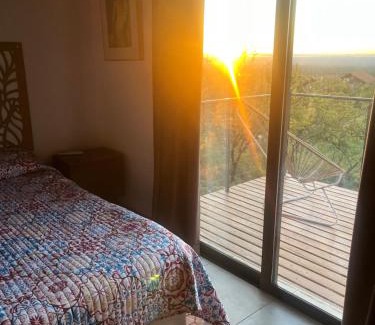 Carpinteria House | Flor Silvestre