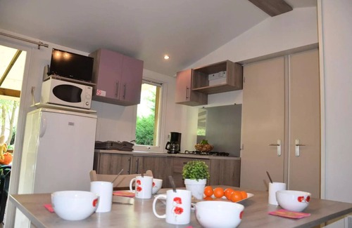 Rieux-de-Pelleport House | Flower Camping LES MIJEANNES * - Mobile home Comfort 32m2 3 bedrooms + TV 6 people