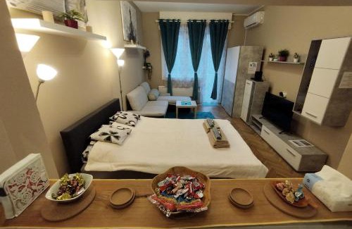 Csarnok negyed Apartment | Flower Studio Apartment