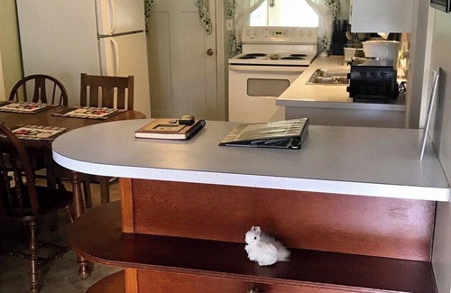 Hendersonville House | For Work or Play, White Squirrel Hill is the Place to be!