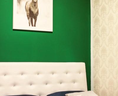 Old Town Apartment | Forest Central Sarajevo