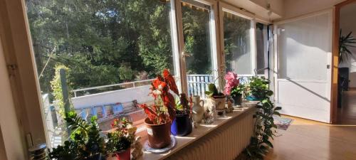 West Apartment | Forest Inn, retreat in nature