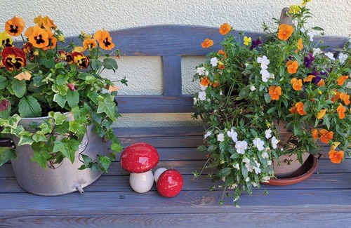 Bischofswiesen Apartment | Forest & Meadow apartment, 25 m², 1-2 pers., double room, shower/WC, bathroom