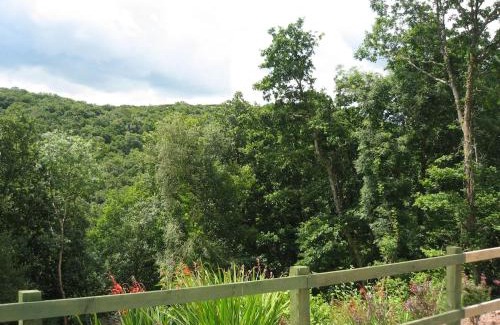 Umberleigh House | Forest View North Devon