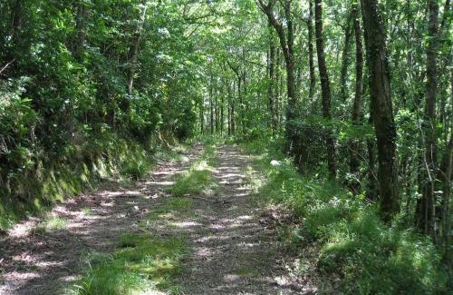 Umberleigh House | Forest View North Devon