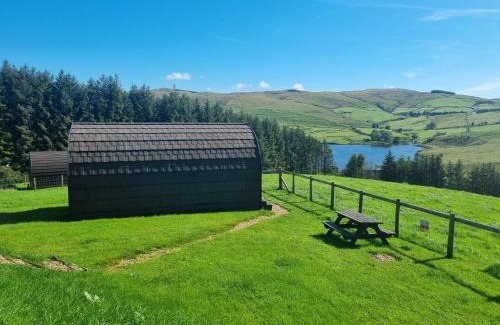 Ponterwyd Other | Forester's Retreat Glamping - Cambrian View- Vaccinated dogs over the age of 2 are accepted