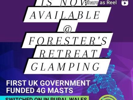 Ponterwyd Other | Forester's Retreat Glamping - Dinas View - Vaccinated dogs over the age of 2 are accepted