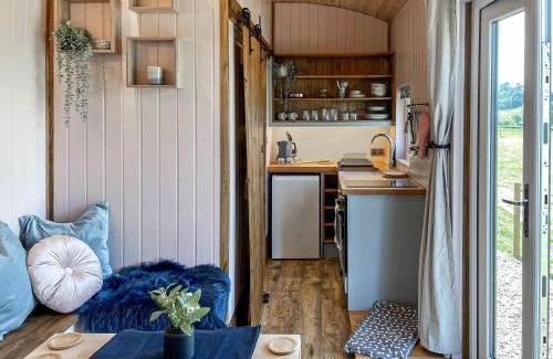 Bradbourne House | Forget-Me-Not - Uk37646
