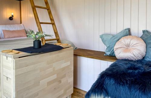 Bradbourne House | Forget-Me-Not - Uk37646