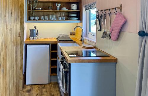 Bradbourne House | Forget-Me-Not - Uk37646
