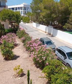 Es Pujols Apartment | Formentera Suite 10
