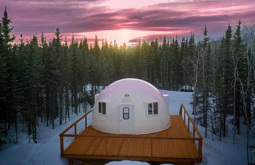 Pleasant Valley Other | Fortymile Igloo: Reindeer Walking Path and Aurora