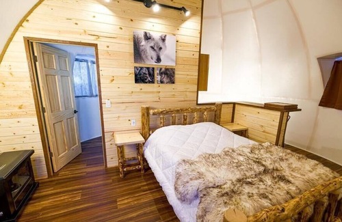 Pleasant Valley Other | Fortymile Igloo: Reindeer Walking Path and Aurora