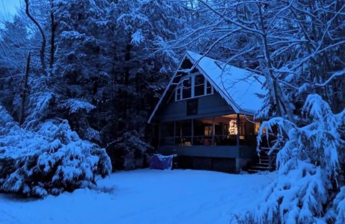 Moultonborough Cabin | Four Bedroom Lakehouse on Winnepesaukee. Waterview, beach, and lots of parking.