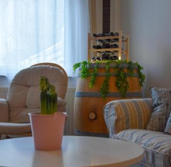 Mosonmagyarovar Apartment | Four Season Thermal Apartman
