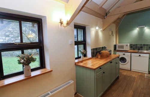 Pontfaen Cottage | Foxglove
