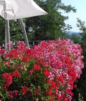 Montepetra Apartment | Fra Bosco e Cielo B&B